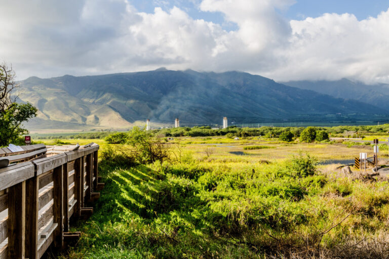 入住長濱民宿的4大理由｜避開這些常見旅遊陷阱