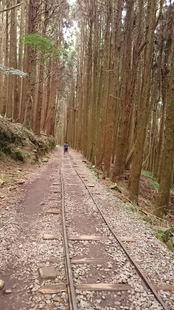 特富野古道攻略｜探索台灣最美的山林秘境