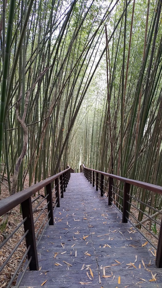 特富野古道攻略｜探索台灣最美的山林秘境