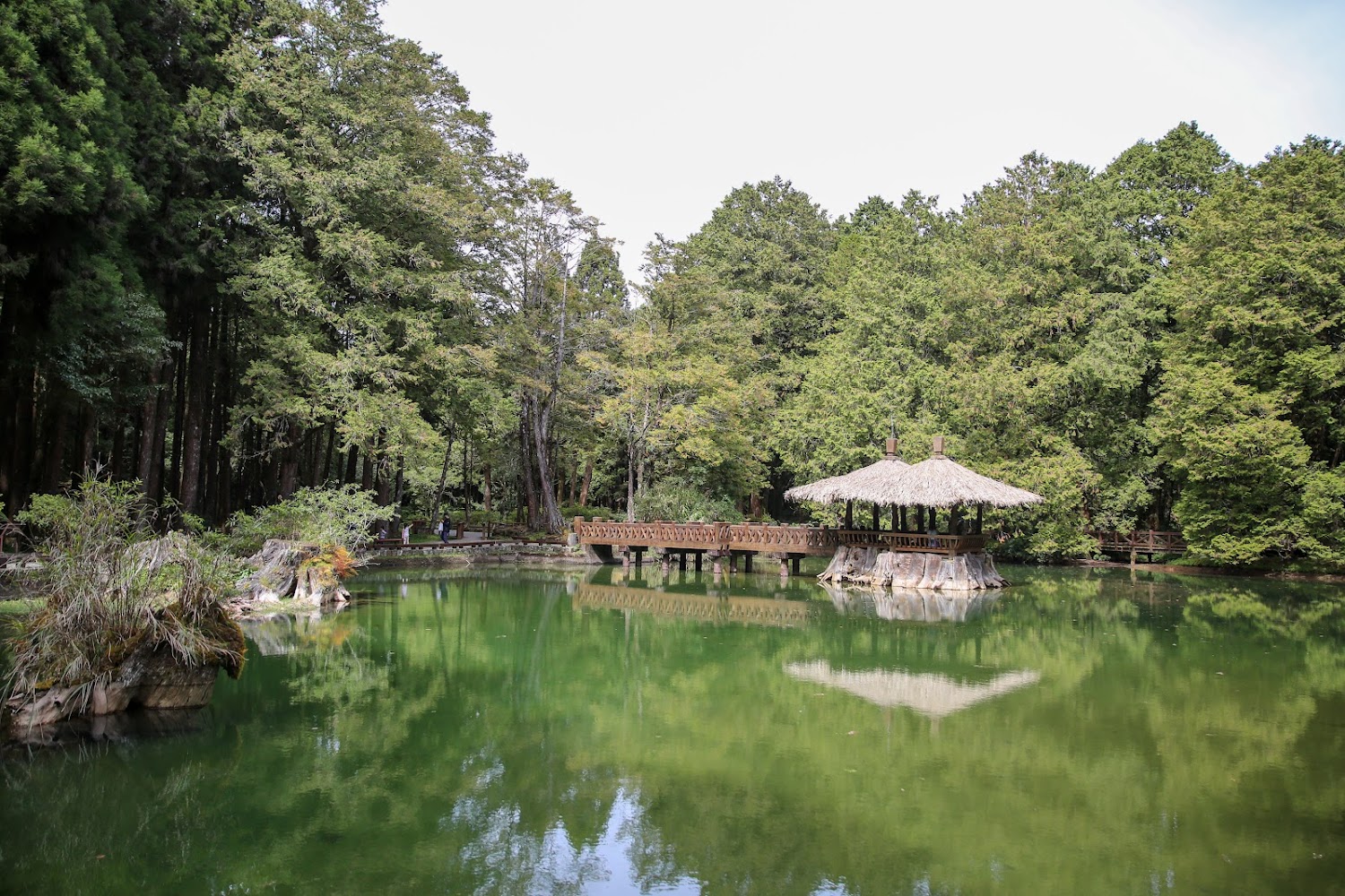 探索阿里山景點：阿里山國家森林遊樂區必訪攻略