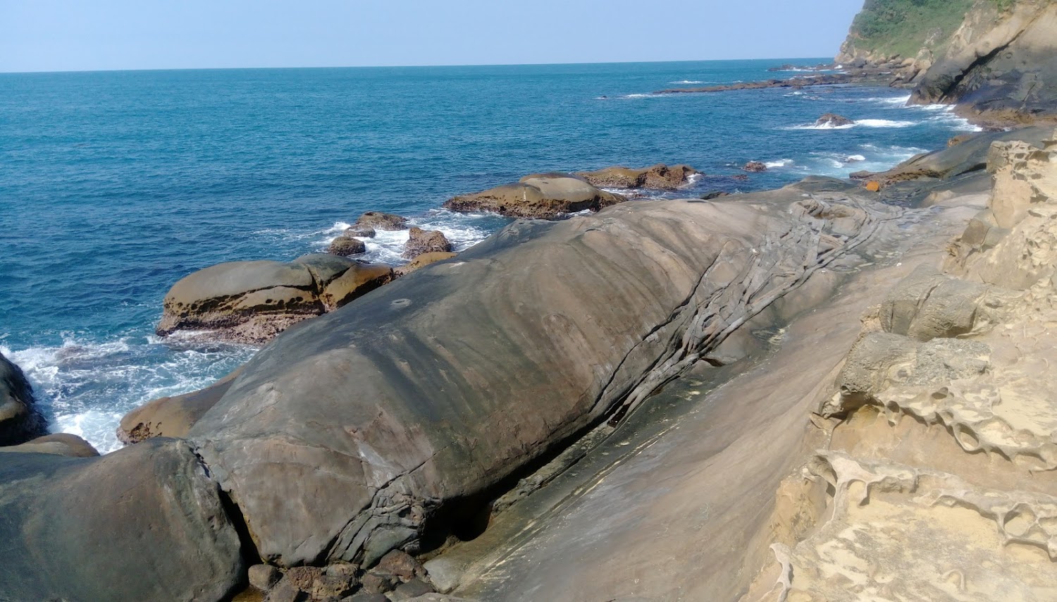 野柳海洋世界遊玩必看|打造完美家庭日的建議