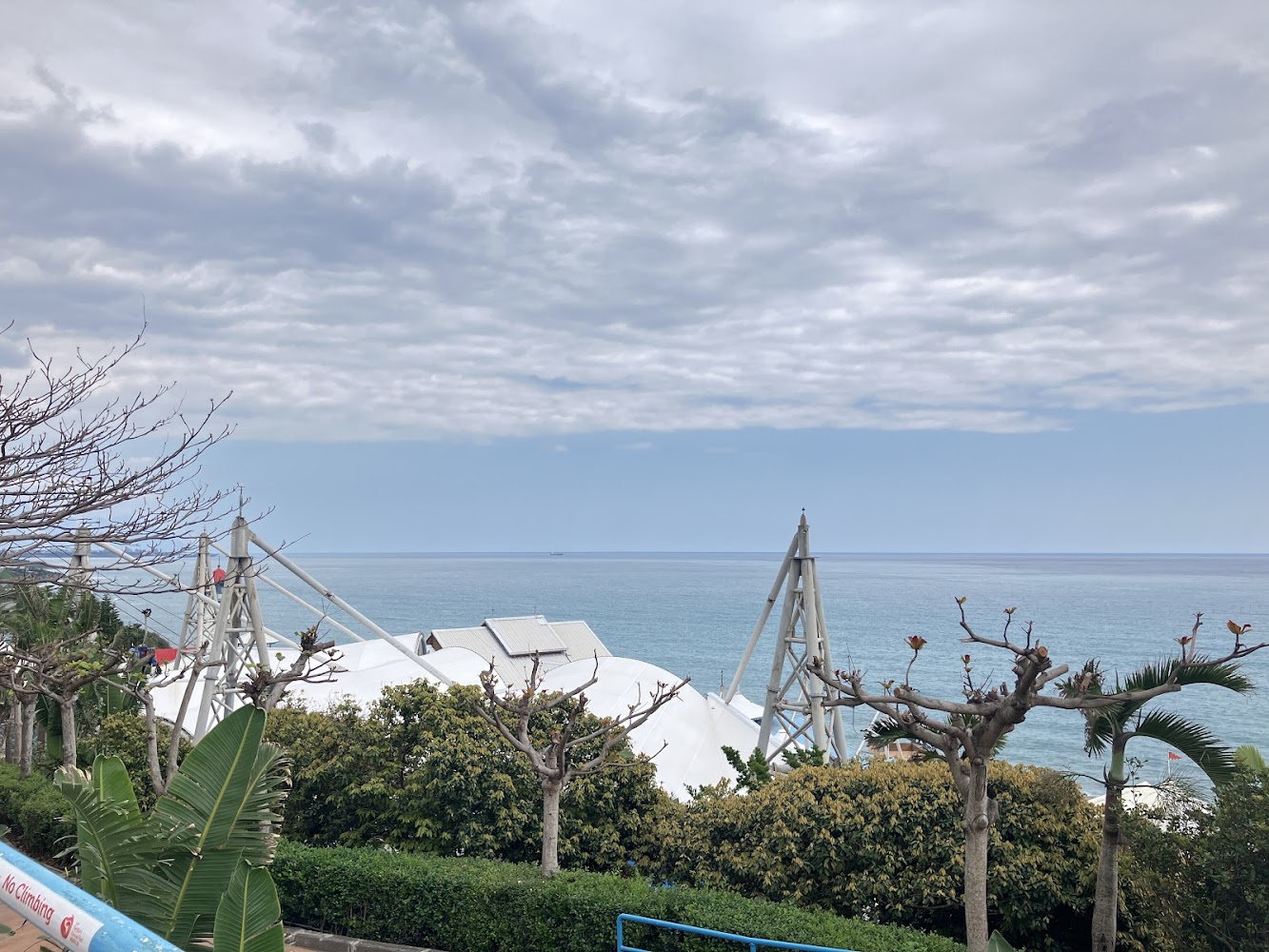 花蓮海洋公園必訪指南:探索遠雄海洋公園的樂趣與魅力