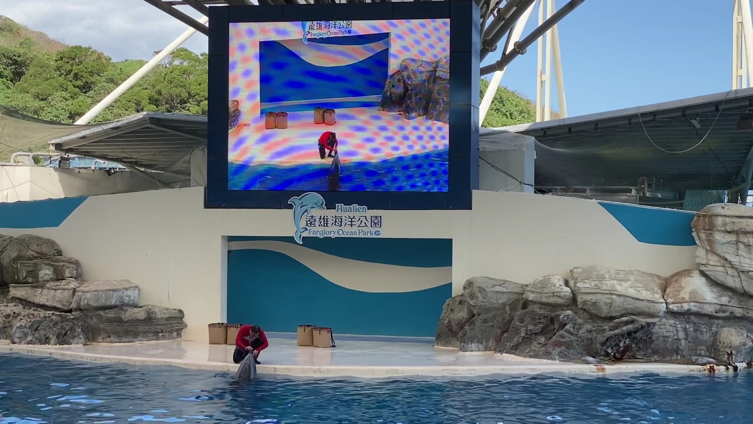 花蓮海洋公園必訪指南:探索遠雄海洋公園的樂趣與魅力