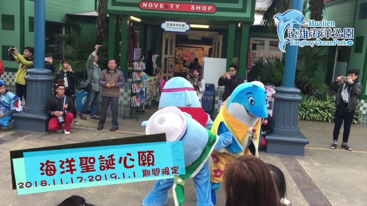 遠雄海洋公園的精彩體驗:玩樂、學習與親近海洋