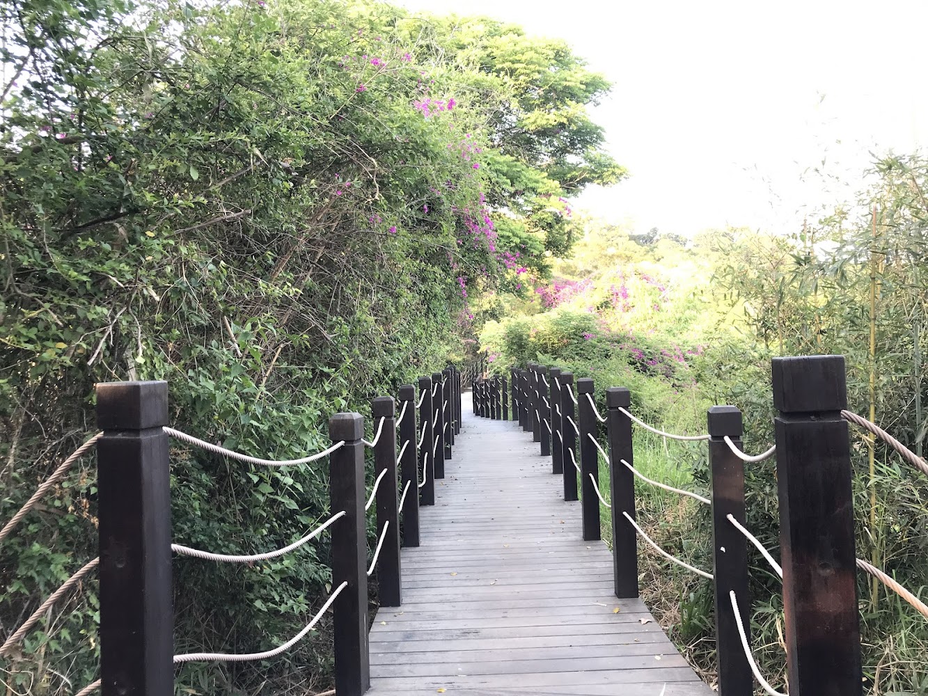 大坑步道如何打造完美健行體驗?步道詳細介紹