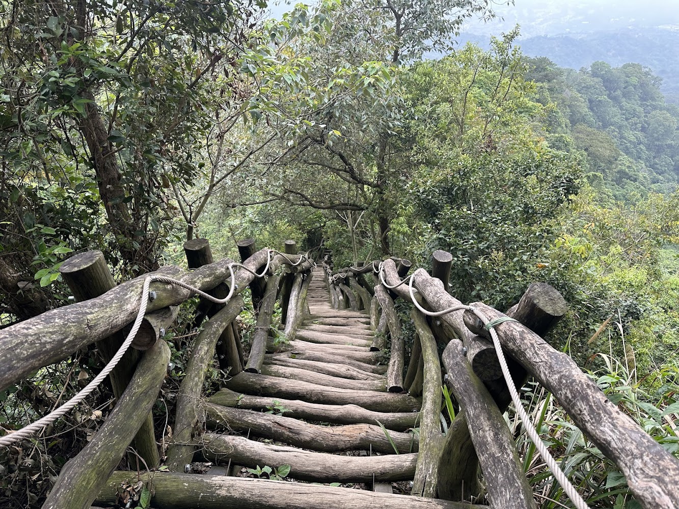 大坑步道如何打造完美健行體驗?步道詳細介紹