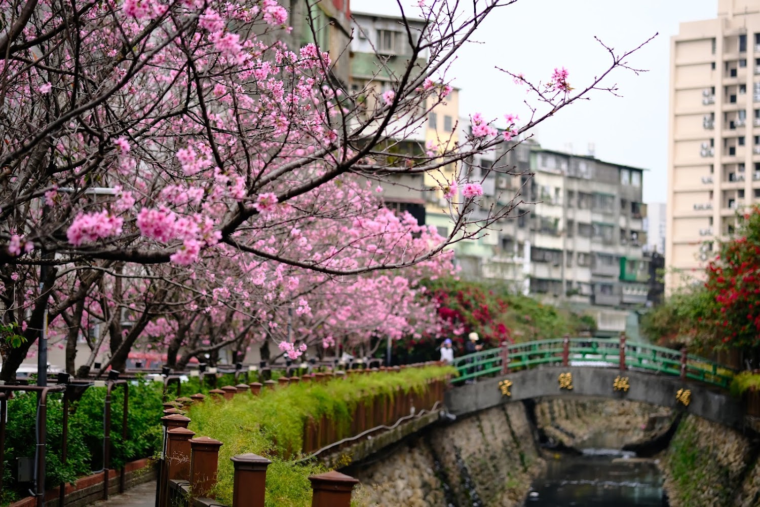 新北景點推薦：探索碧潭、深坑老街與蝴蝶公園的魅力