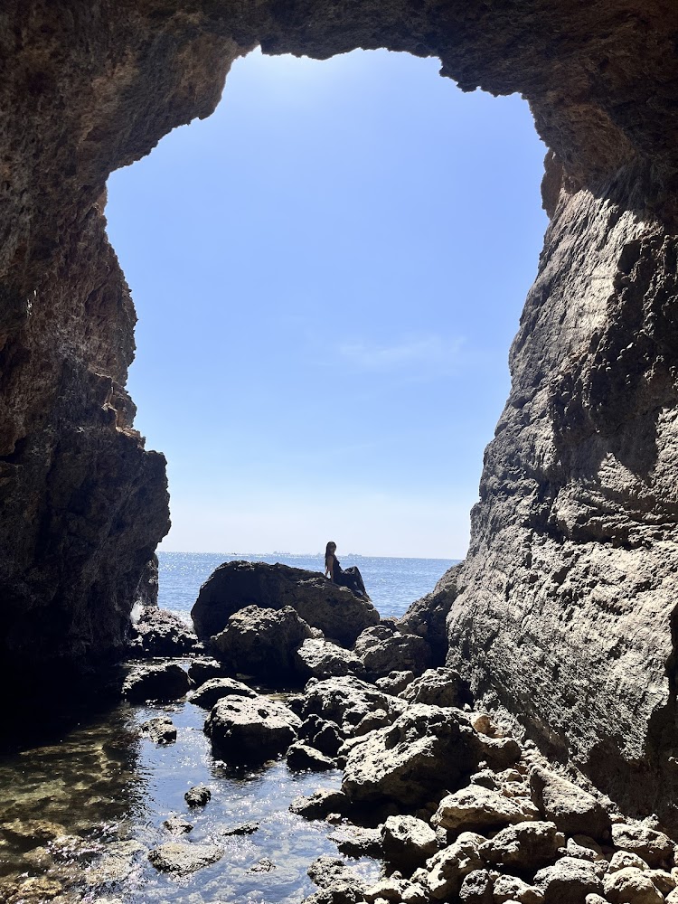 高雄秘境景點推薦：探索柴山神秘海岸與自然美景