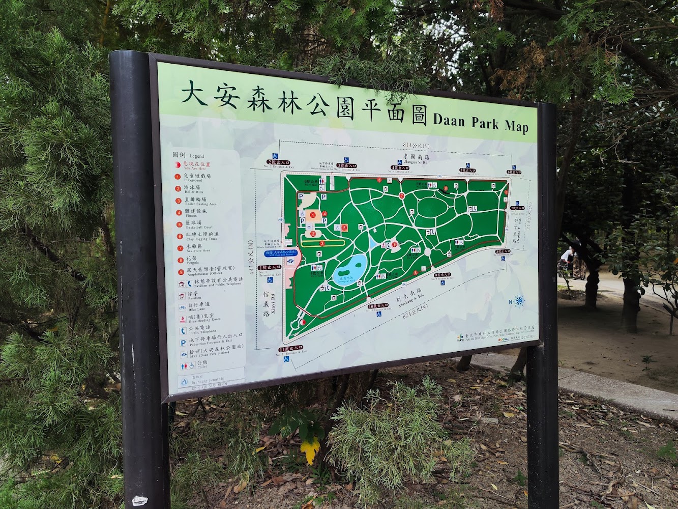 大安森林公園的最佳遊玩指南｜探索台北城市綠肺的美好