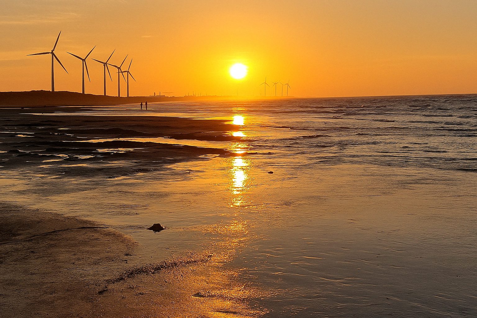 桃園景點推薦｜探索值得一去的大溪老街、虎頭山公園與許厝港濕地