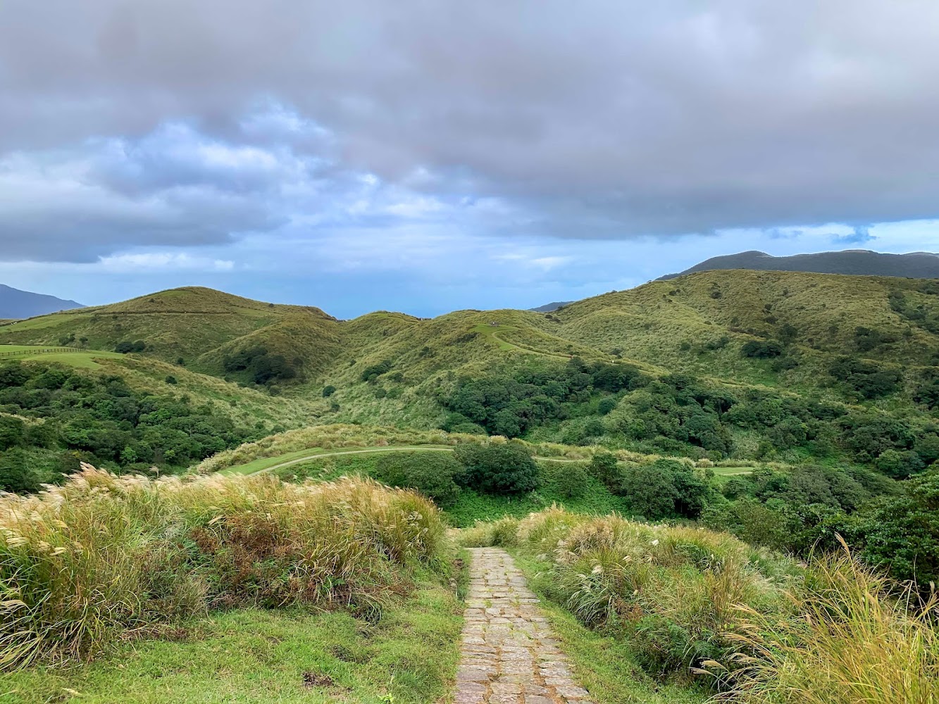 擎天崗:探索台北的自然美景與健行秘境