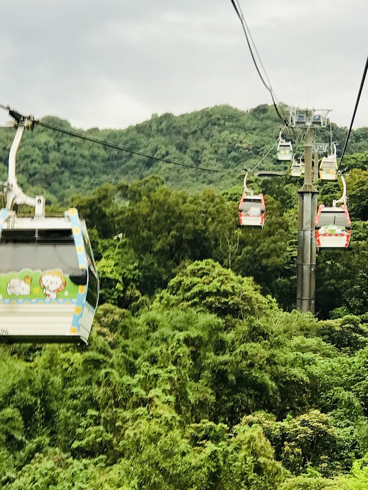 貓空纜車的迷人之旅|如何享受台北的高空美景