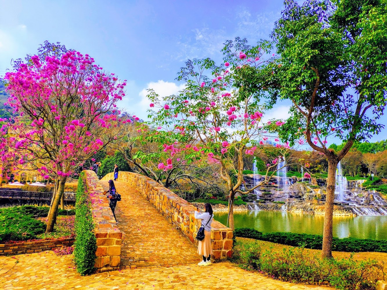 探索台中景點：最佳旅遊指南與必訪地點