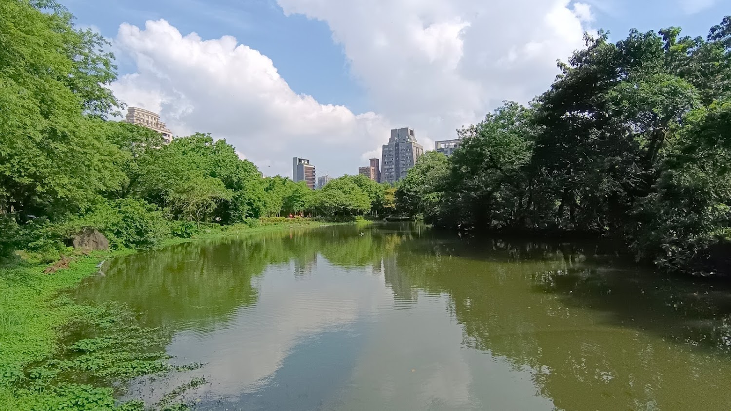 大安森林公園：城市綠洲的完美休閒地點