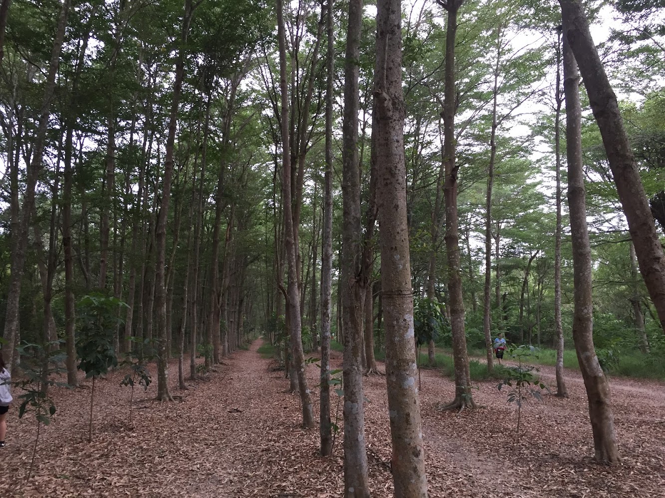 台南景點探索：必去的熱門地點