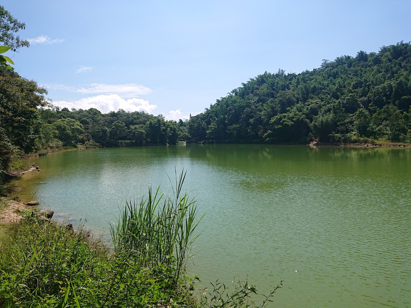 埔里景點精選:探索虎頭山、鯉魚潭與瑪璘窟的秘密
