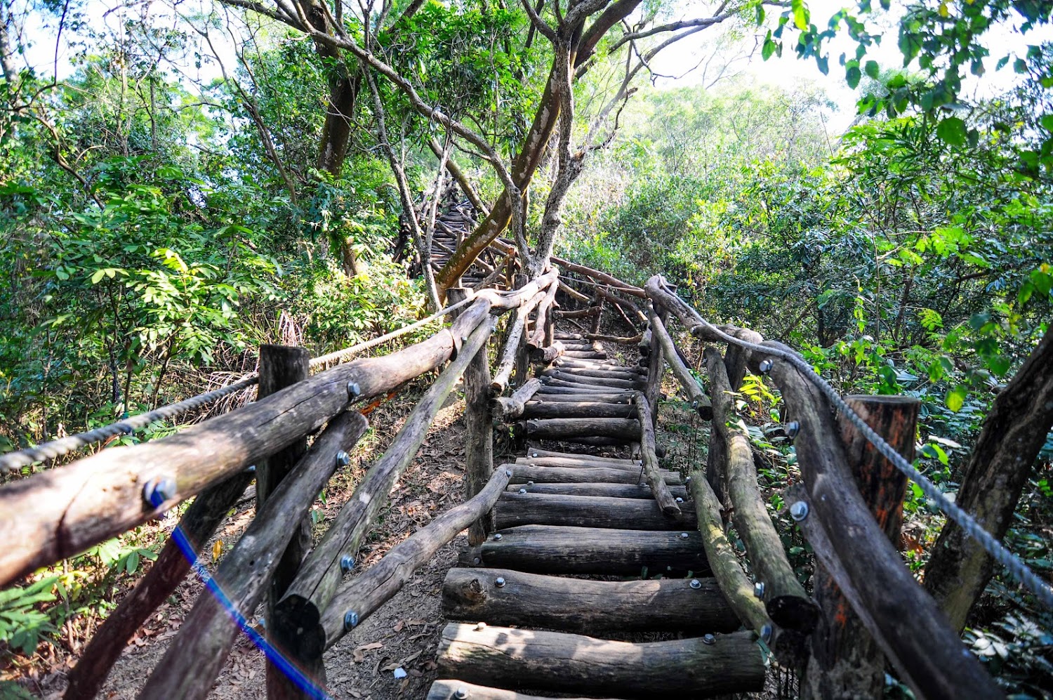 大坑步道：探索台中最美健行路線的攻略