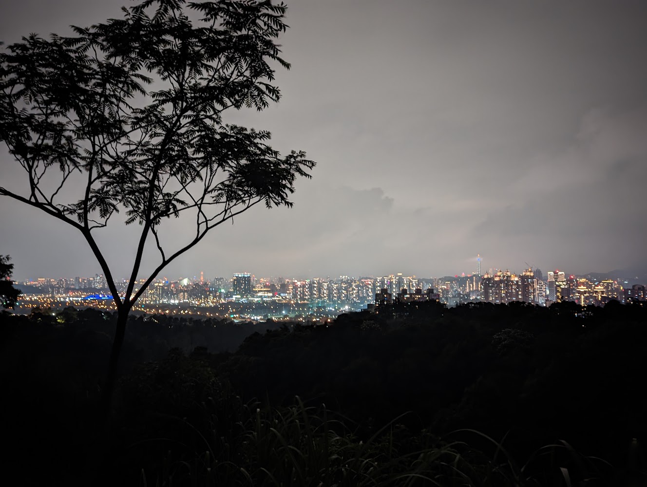 探索美麗的螢火蟲：關於台灣賞螢景點的全面指南