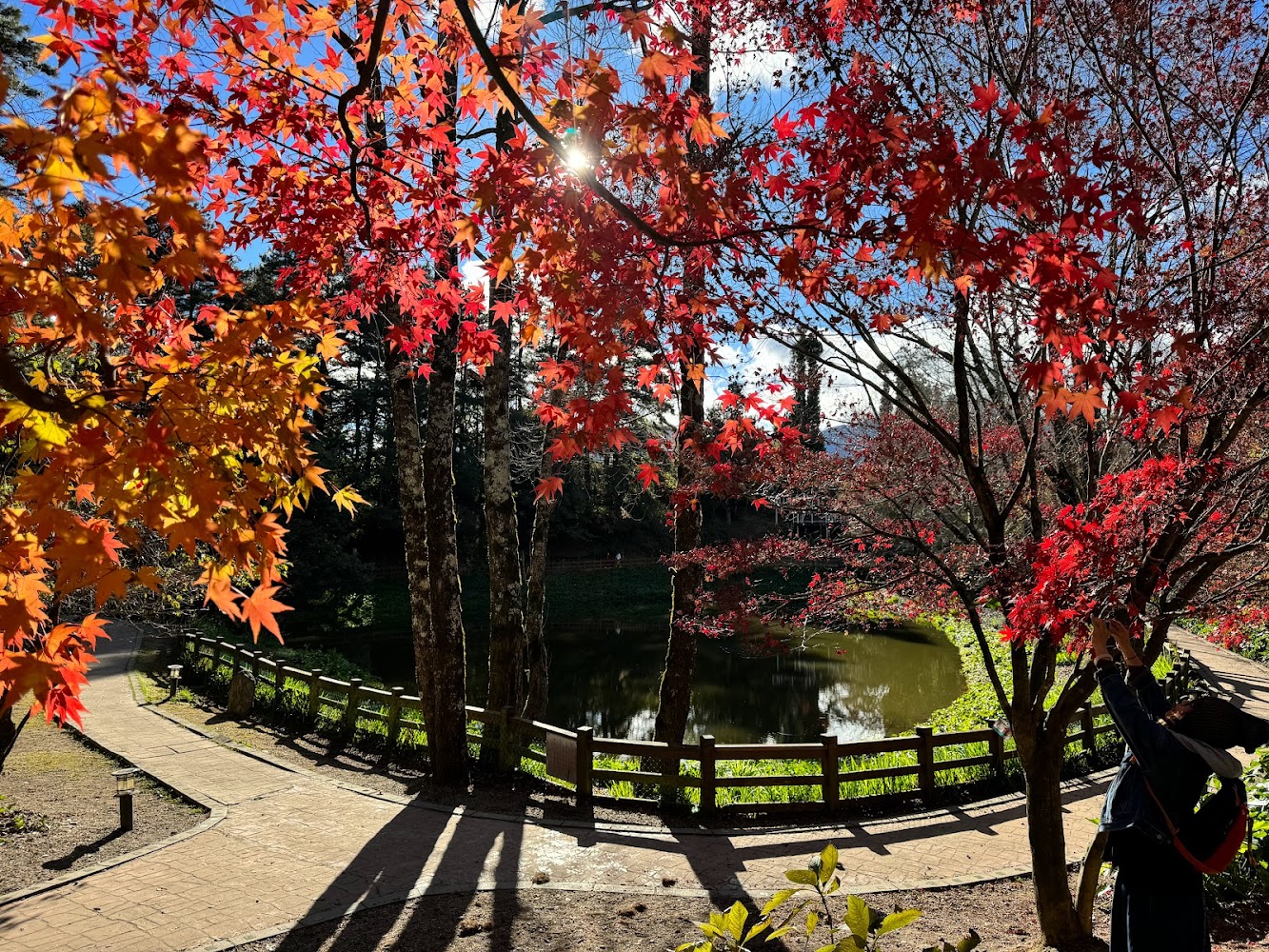 再會福壽山農場的最佳旅遊|探索千櫻園與天池的魅力