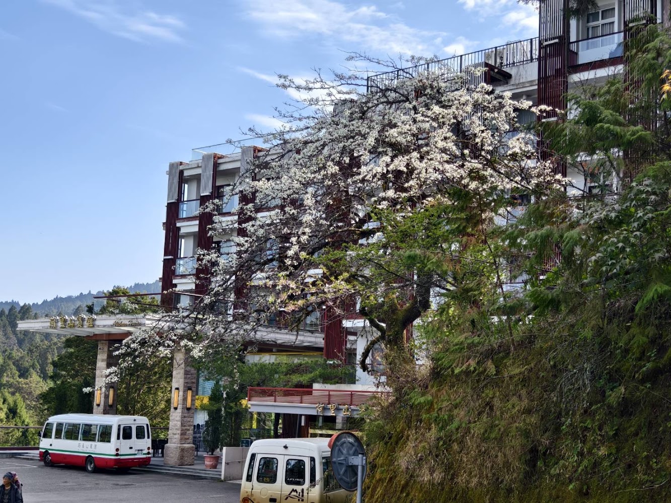 阿里山賓館：不可錯過的絕美山景住宿體驗