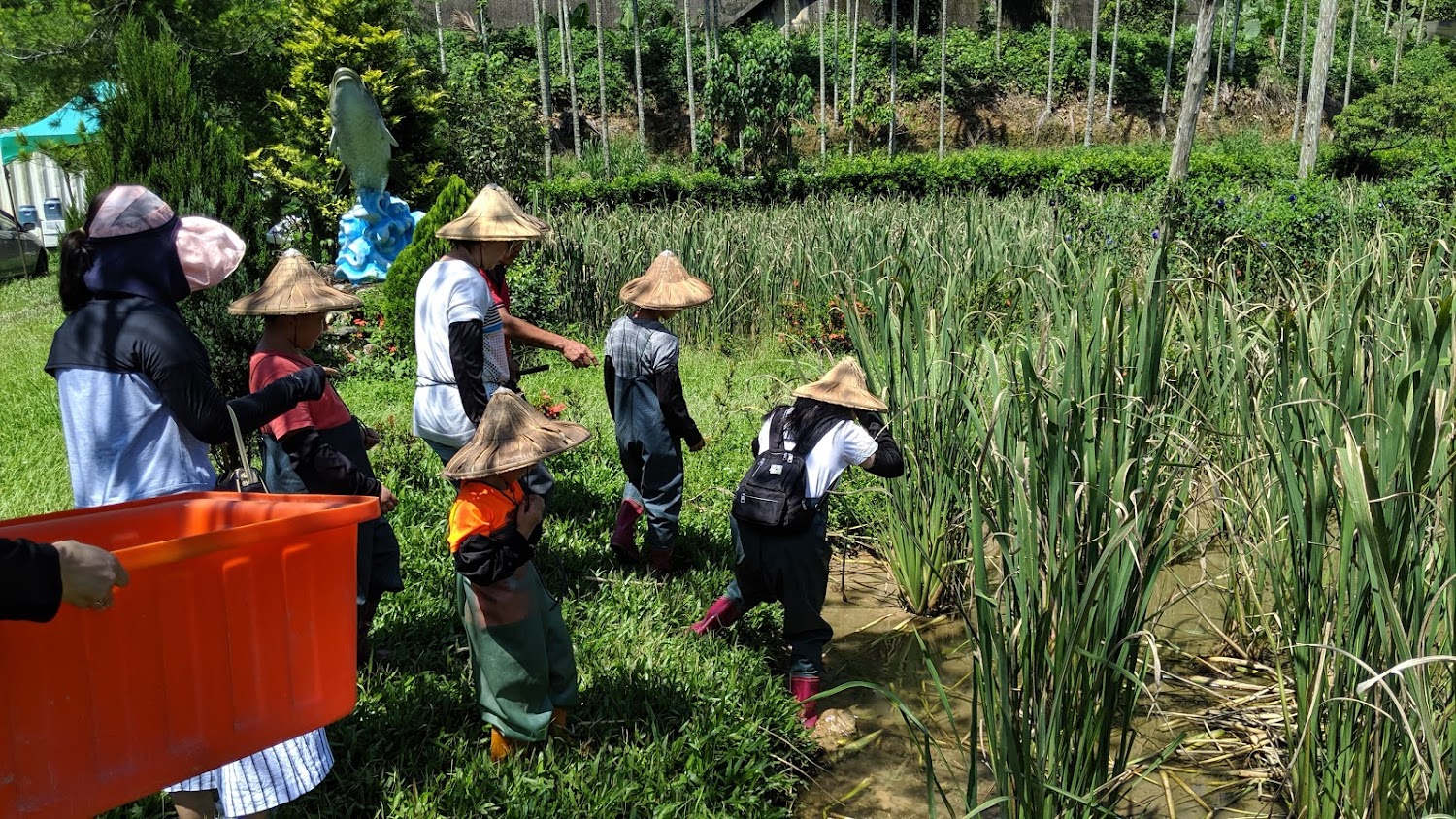 埔里景點:必訪的旅遊熱點,讓你的旅行充滿驚喜