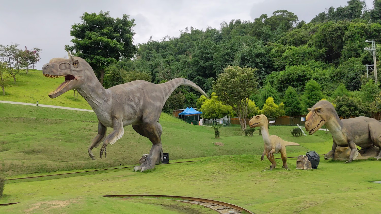 探索九九峰動物園:家庭日最優選擇