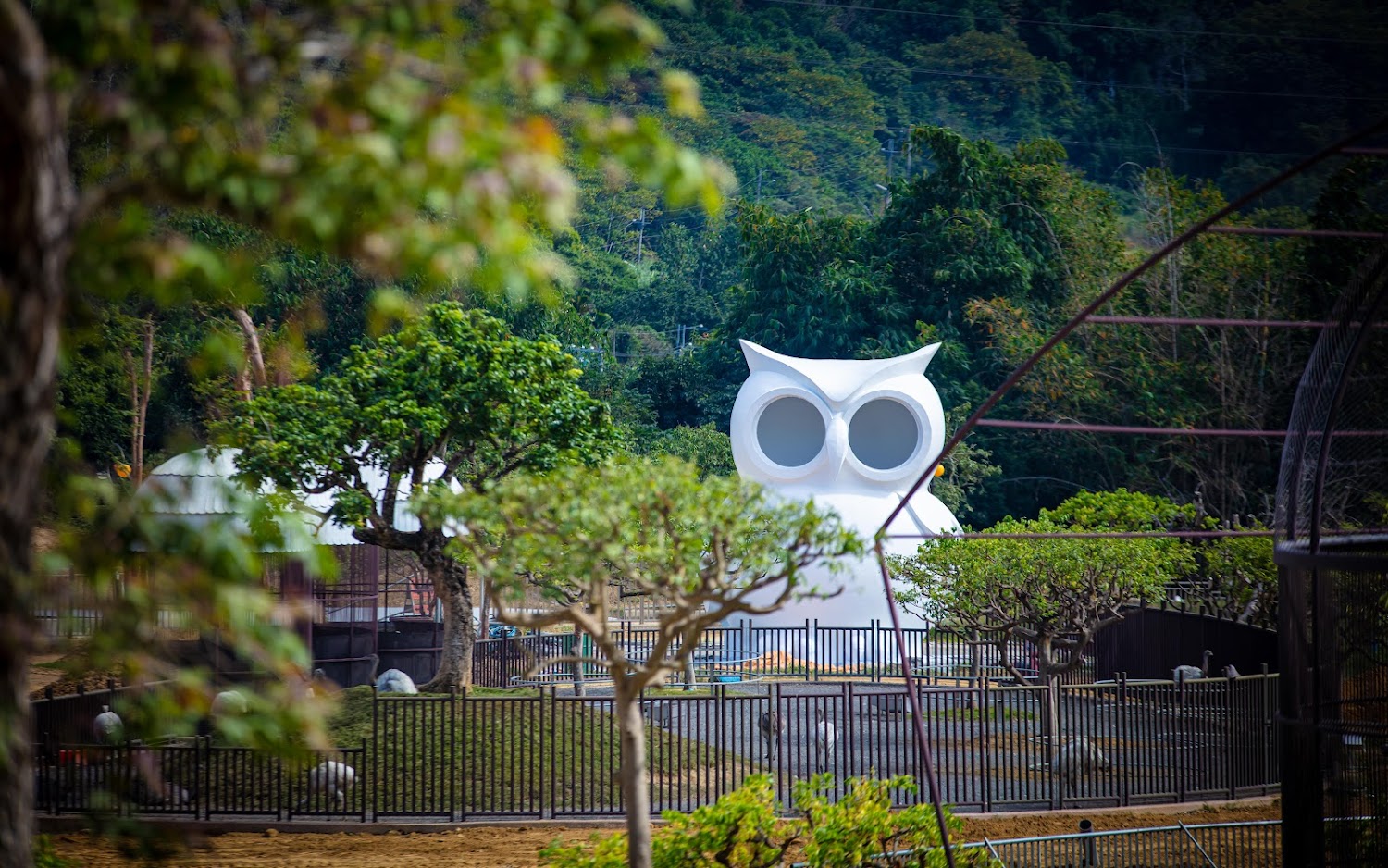 探索九九峰動物園:家庭日最優選擇