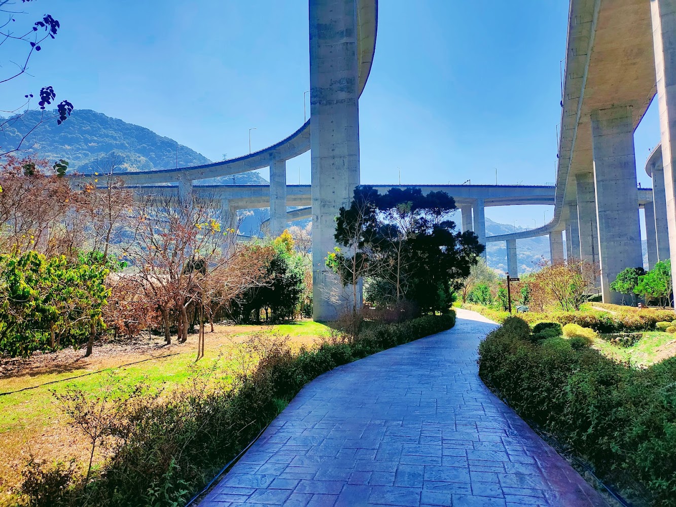 南投新景點：2025年不可錯過的遊樂聖地