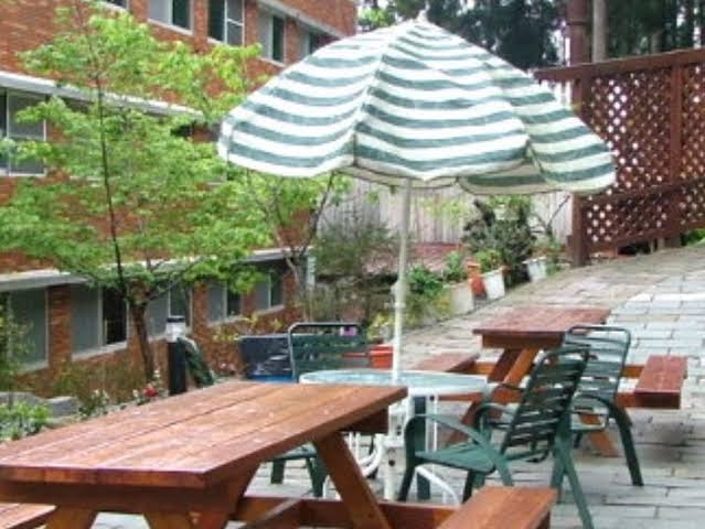 阿里山住宿：推薦精選住宿選擇，讓你的旅行更加完美