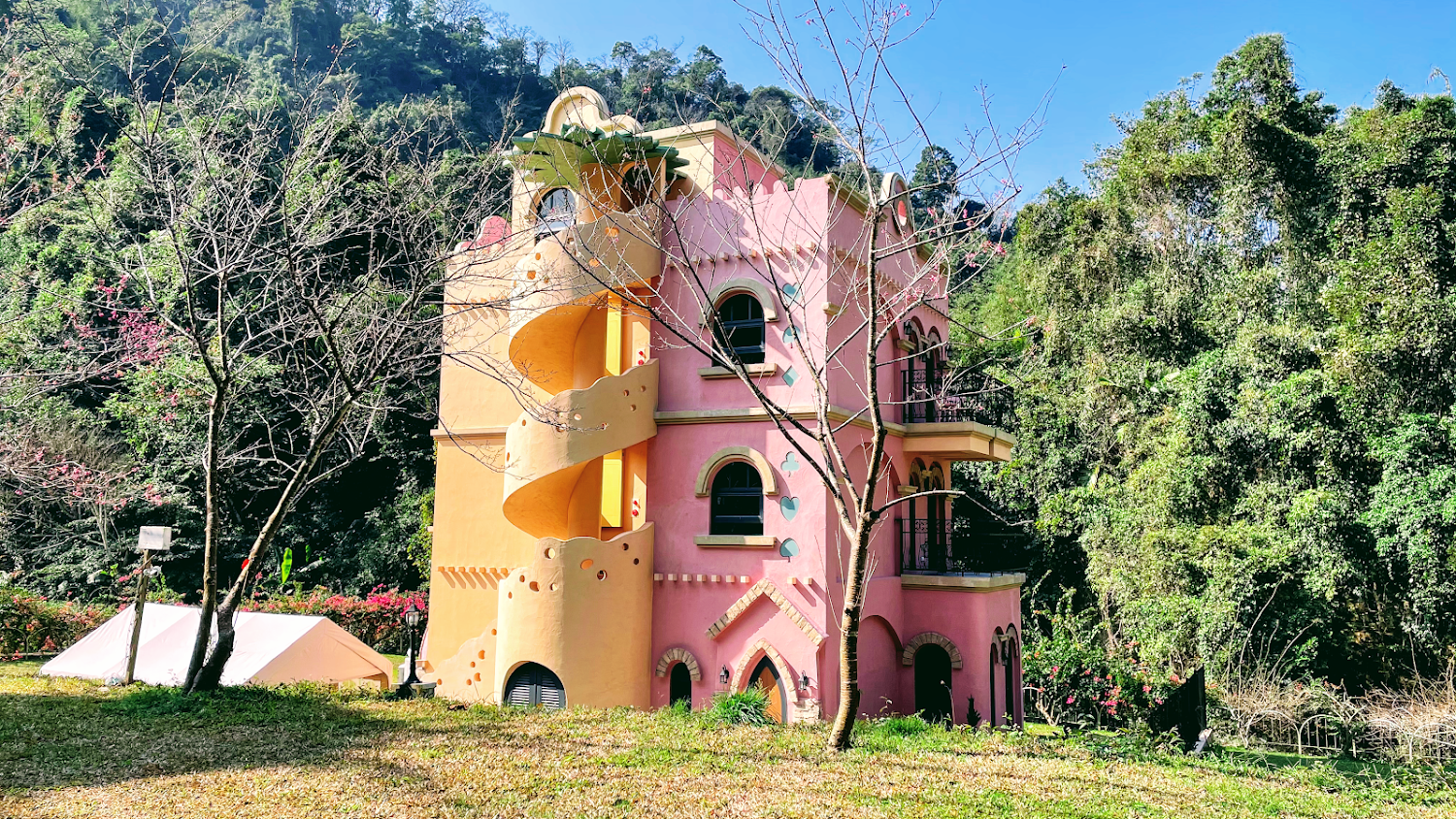 螢火蟲季節：最佳賞螢地點全面攻略