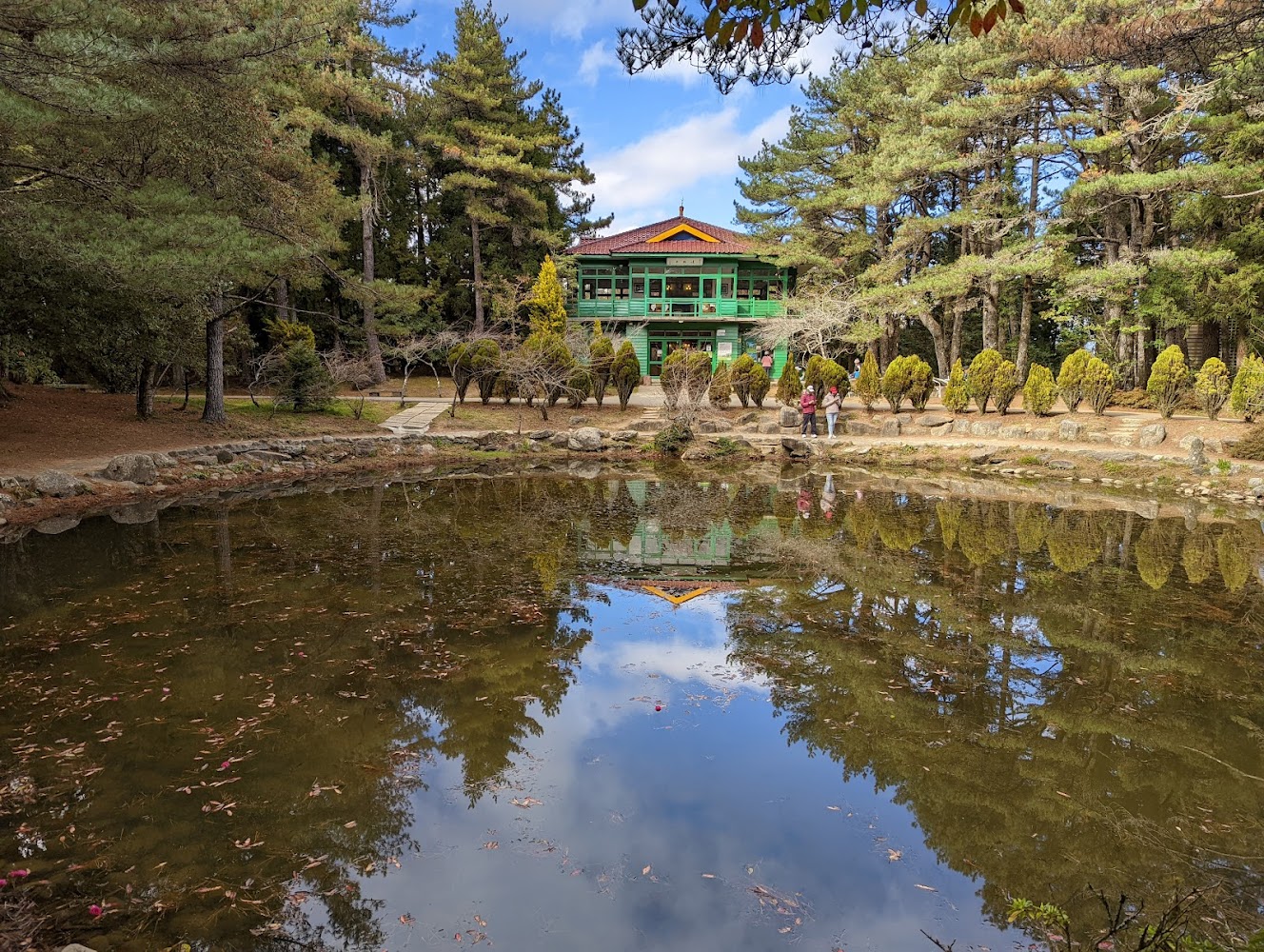 福壽山農場的旅行必備指南：探訪櫻花與天池的美景