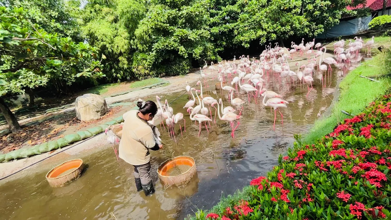 頑皮世界野生動物園的完美家庭旅遊指南