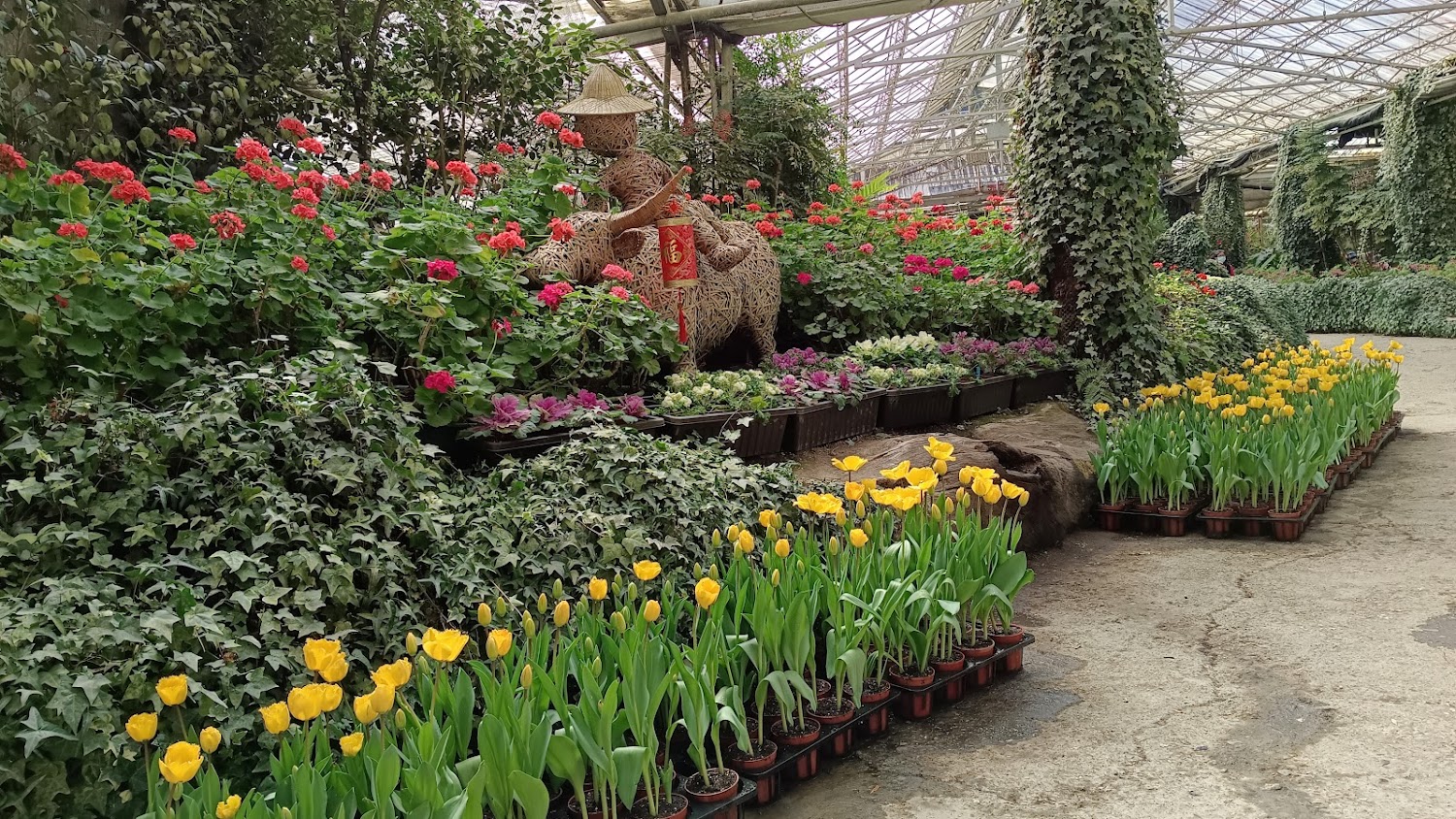 杉林溪花卉中心相片｜杉林溪的最佳旅遊攻略：享受豐富自然與人文之美