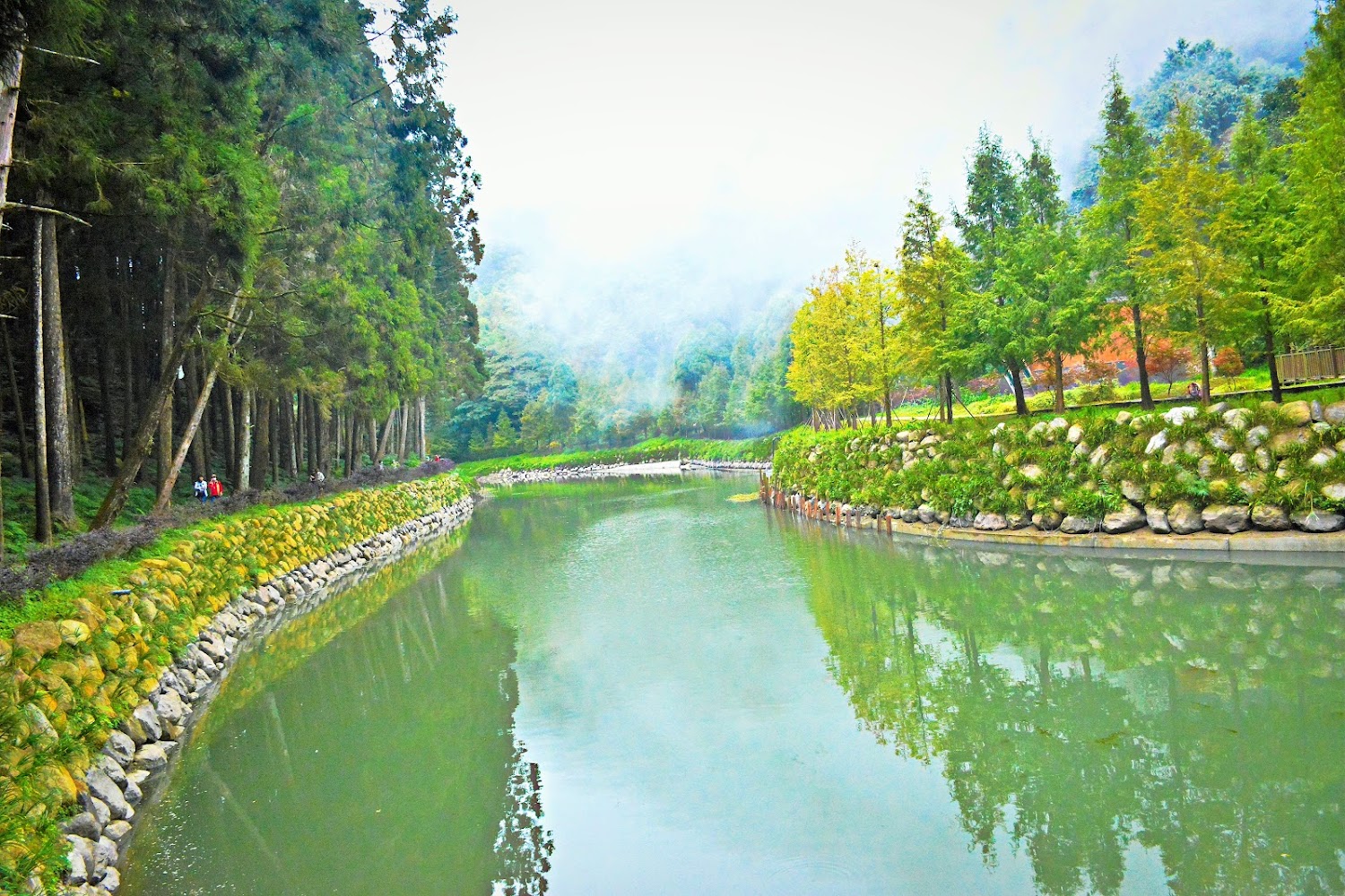 杉林溪的絕佳旅遊體驗：你的完美健行和放鬆之選