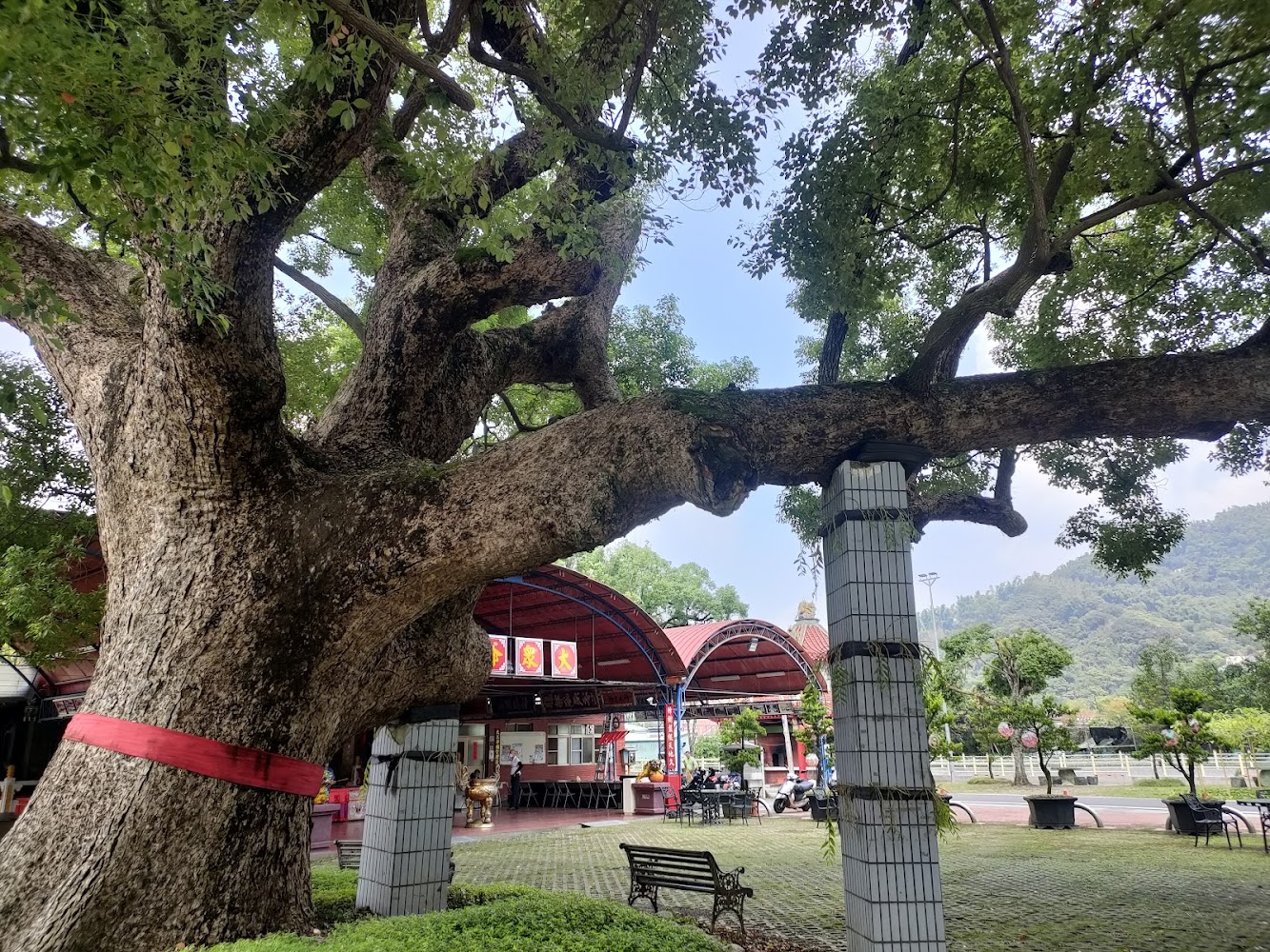 探索集集景點：不可錯過的旅行指南