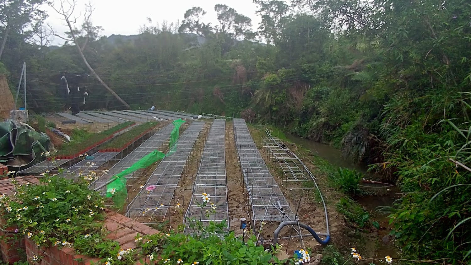 三義鄉的魅力探索｜揭開苗栗秘境面紗