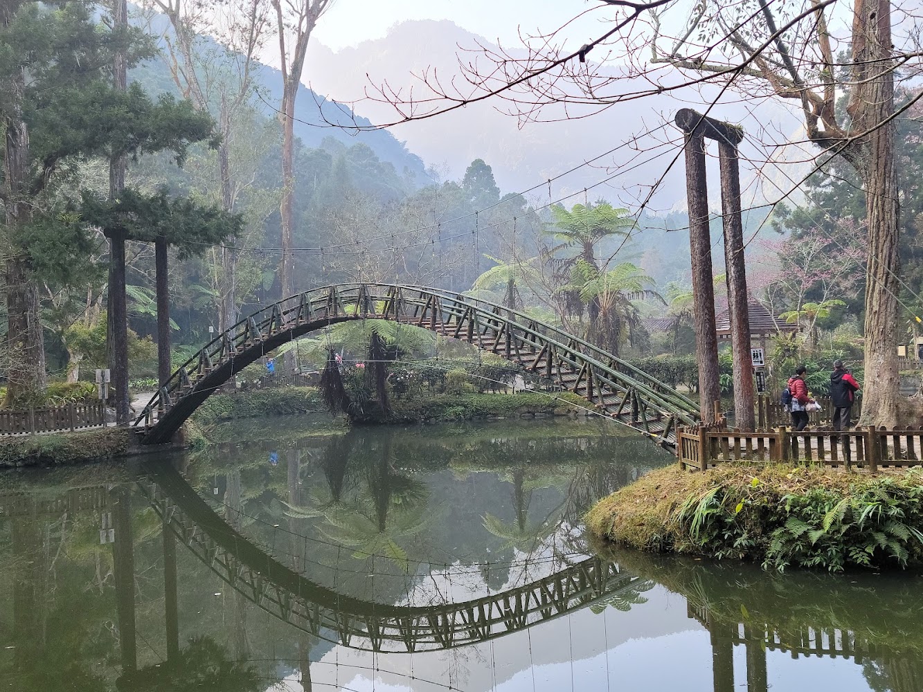 溪頭自然教育園區