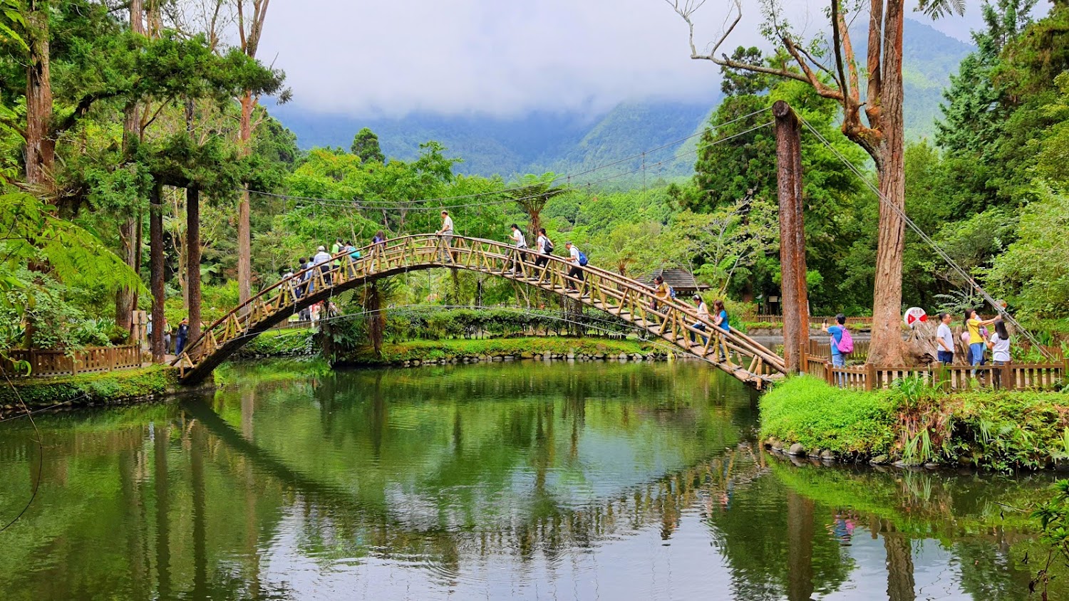 南投景點推薦：2025年必訪溪頭自然教育區與其他熱門景點