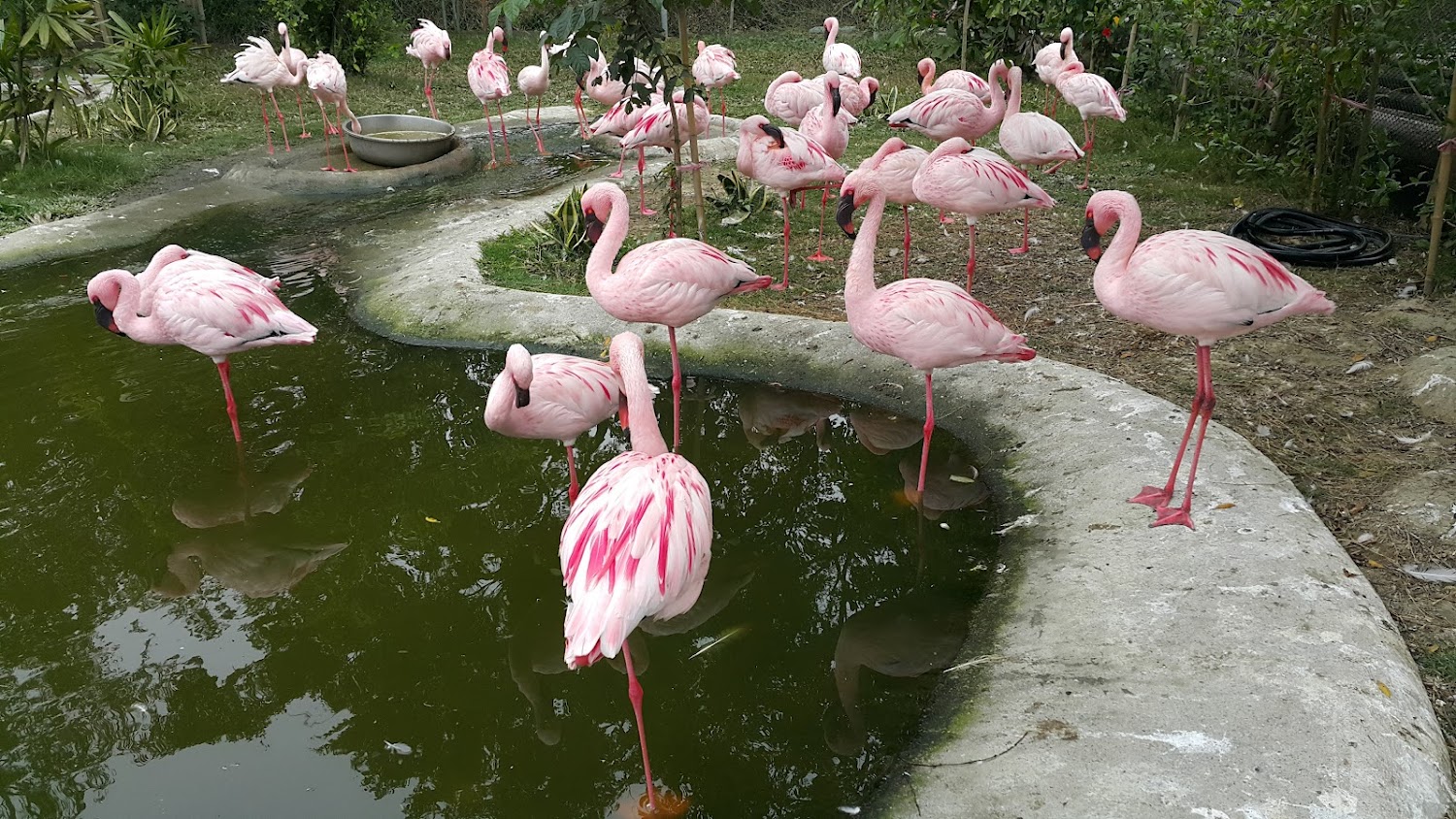 台南頑皮世界野生動物園一日遊攻略｜親子互動、餵食體驗、美食設施全收錄！