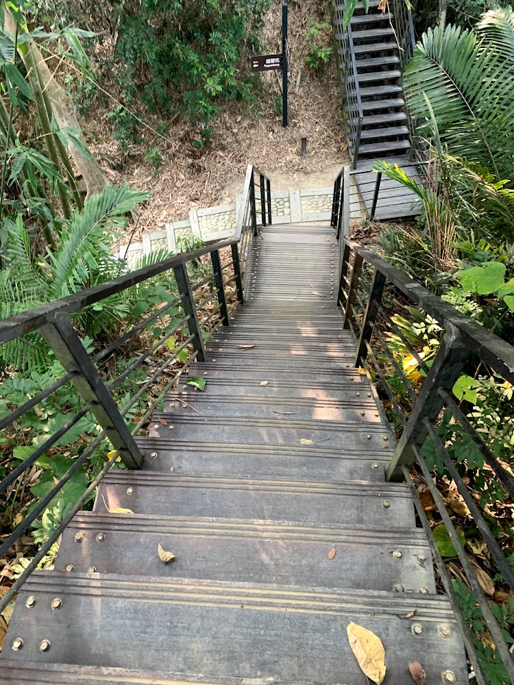 雲林景點攻略：必訪的美麗景點