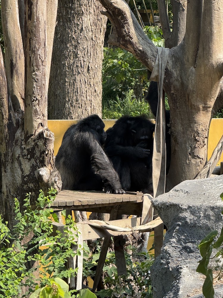 探索壽山動物園的全方位旅遊指南｜親子觀光與野生動物的完美結合