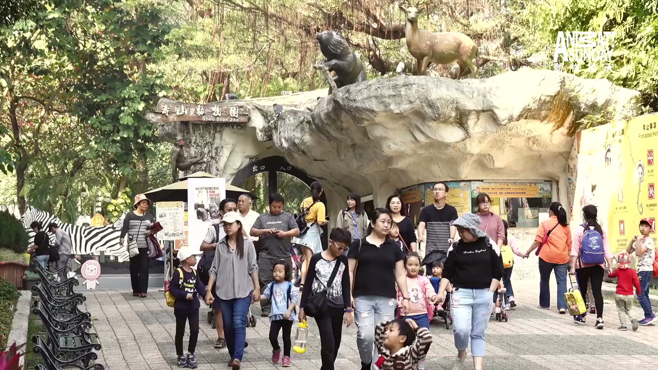 探索壽山動物園的全方位旅遊指南｜親子觀光與野生動物的完美結合
