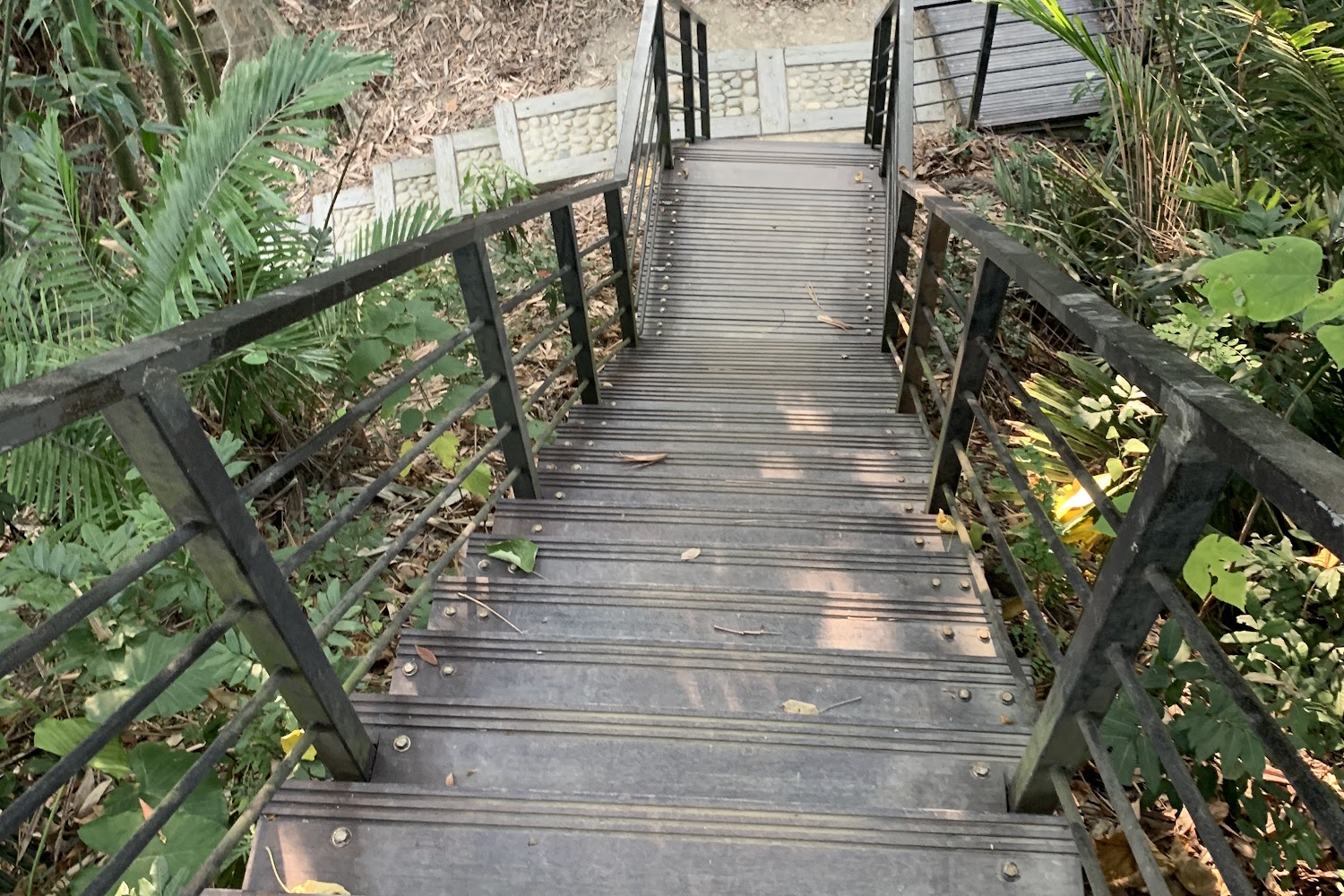 雲林景點推薦｜探索隱藏的美麗天堂