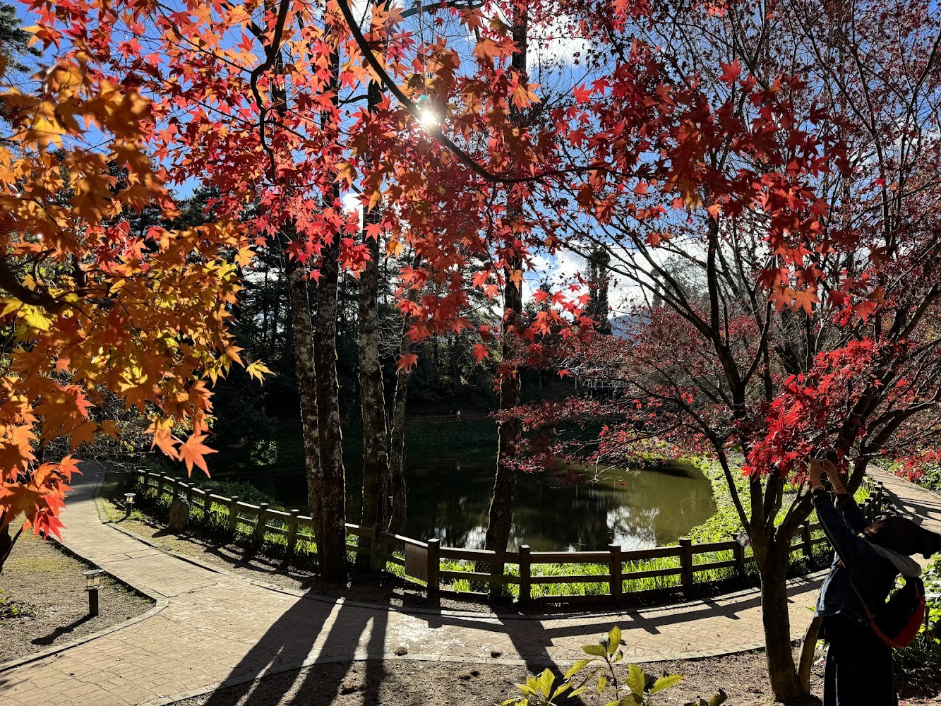 福壽山農場鴛鴦湖