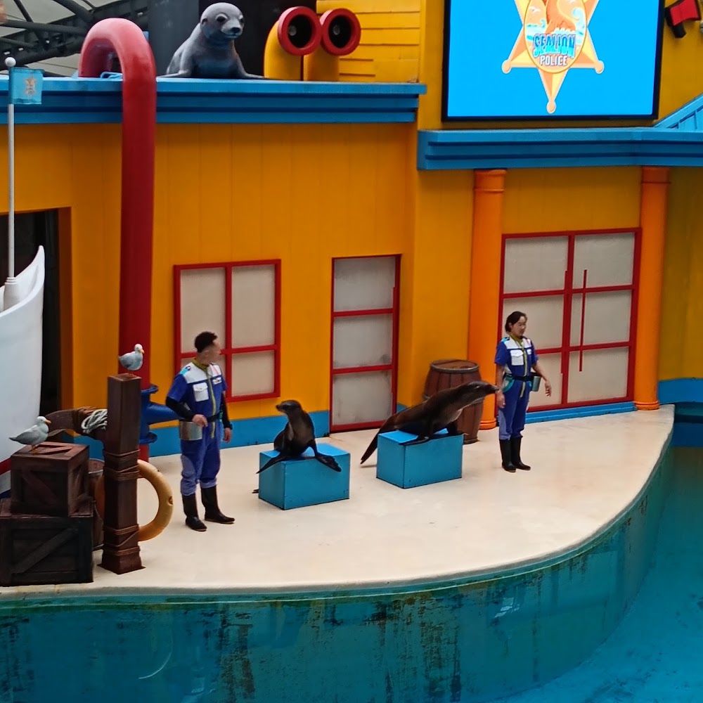 所有圖片|遠雄海洋公園:家庭旅遊的最佳選擇與完整攻略