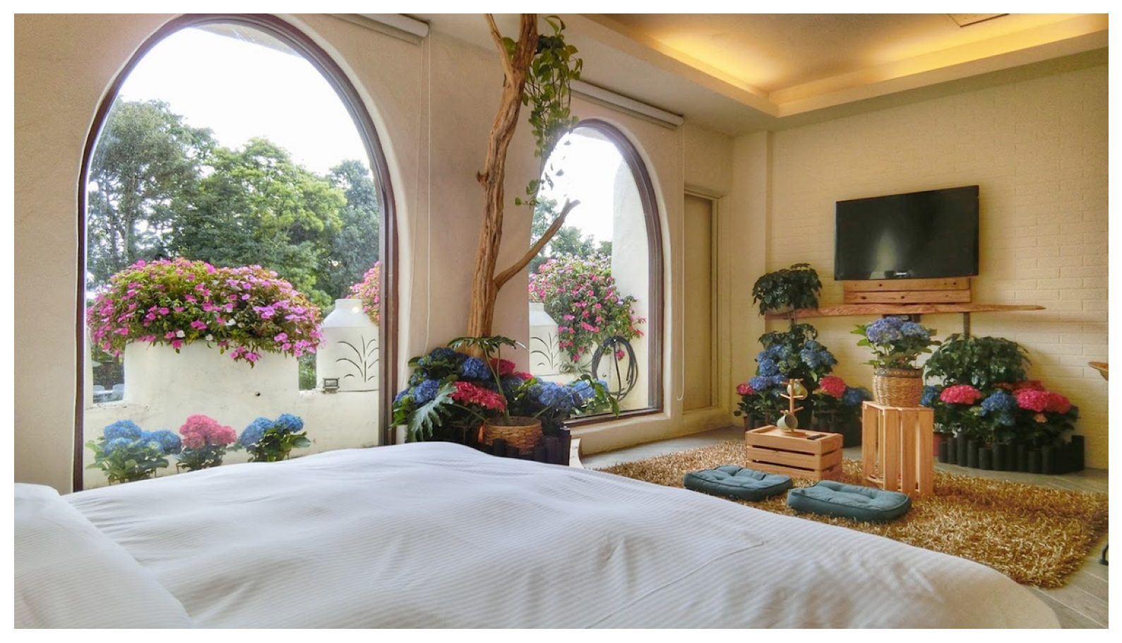 花露農場的魅力：探索繡球花季的奇幻世界