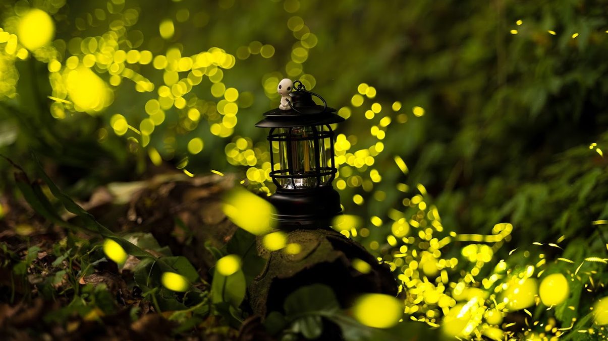 探索美麗的螢火蟲：關於台灣賞螢景點的全面指南