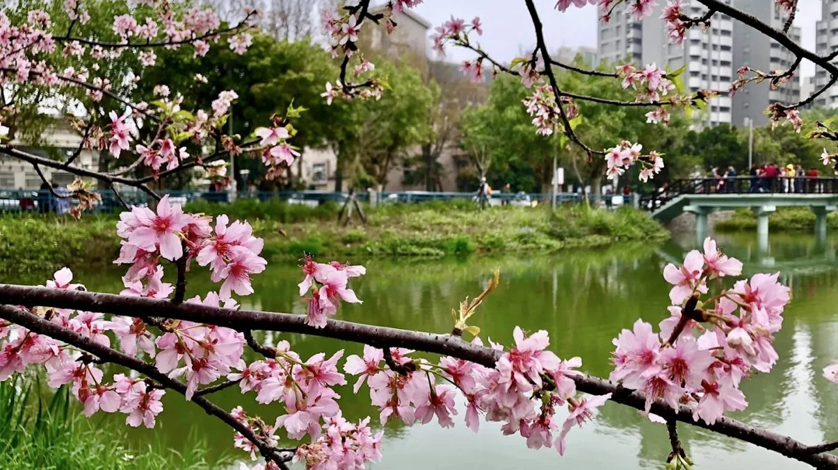 探索新竹景點｜新竹公園及周邊好去處完全指南