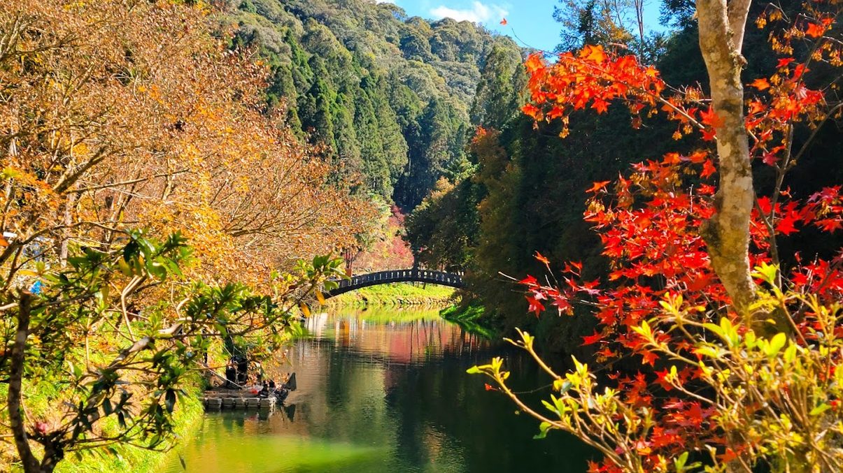 杉林溪：最佳的森林遊樂區探索指南