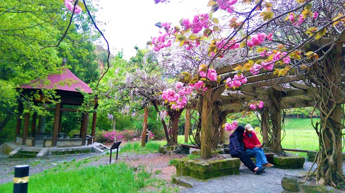 武陵農場的美麗與魅力：不容錯過的旅遊指南